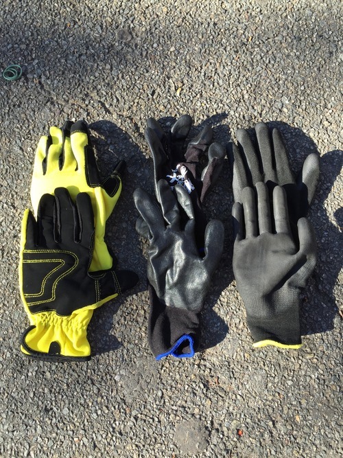 calisthenics gloves