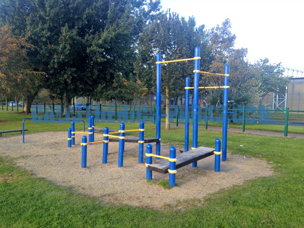 calisthenics park near me