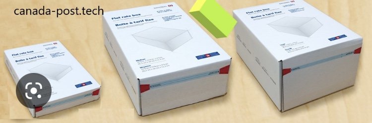 canada post medium flat rate box