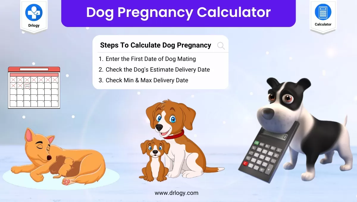 canine gestation calculator