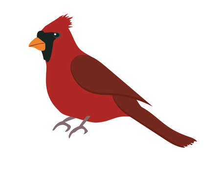 cardinal clip art