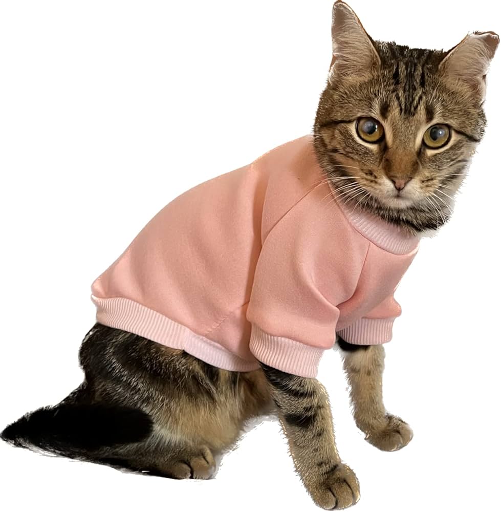 cat clothes amazon