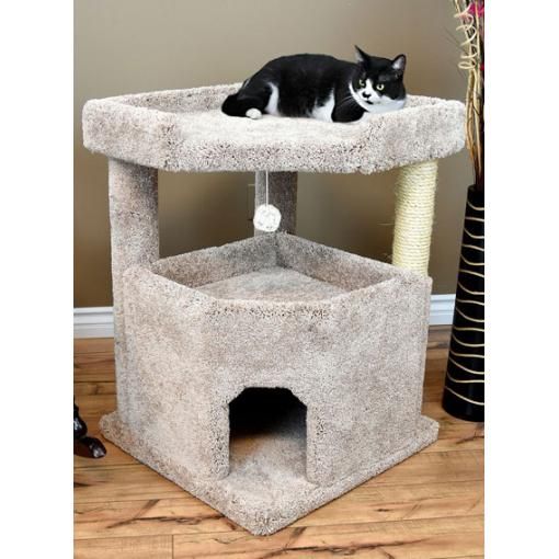 cat condo for large cats