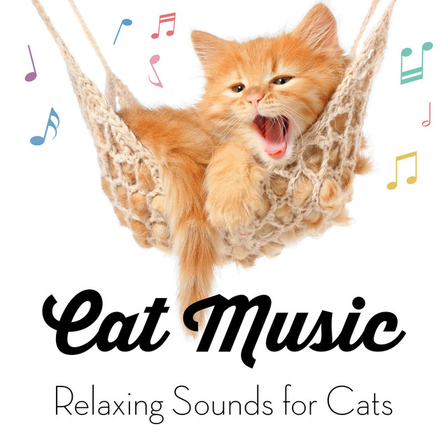 cat music for cats