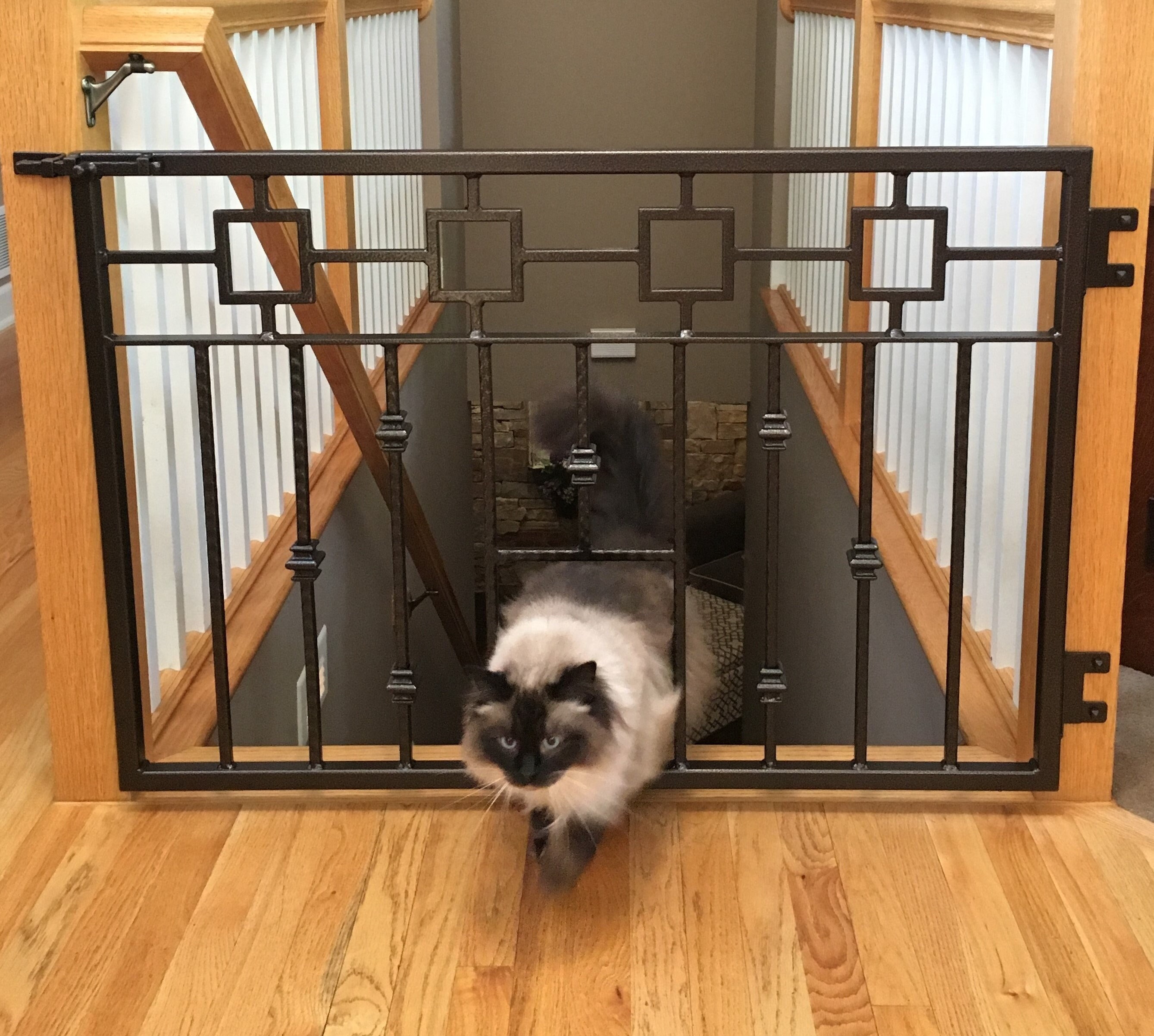 cat stair gate