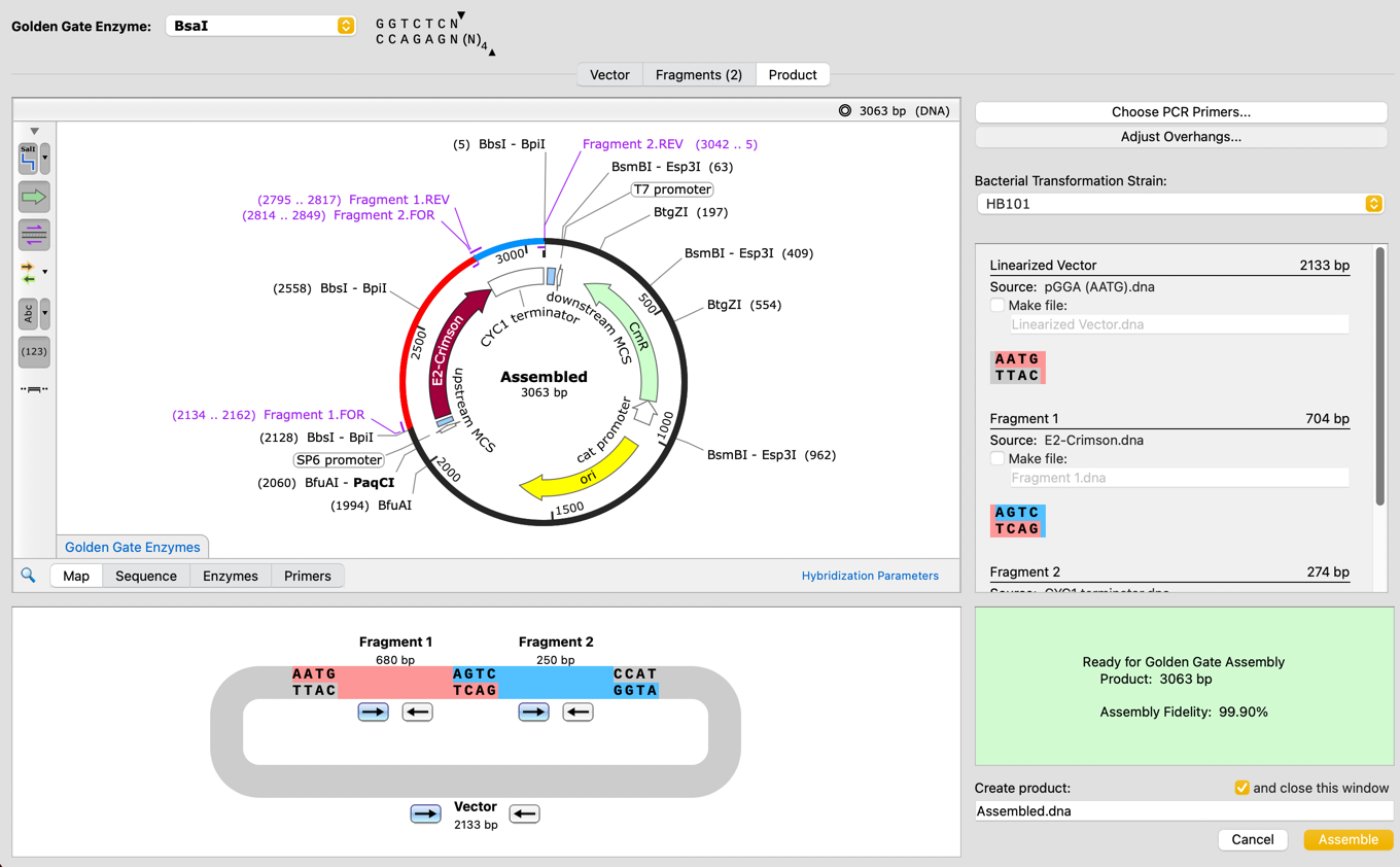 snapgene