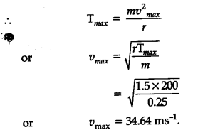 a stone of mass 0.25 kg