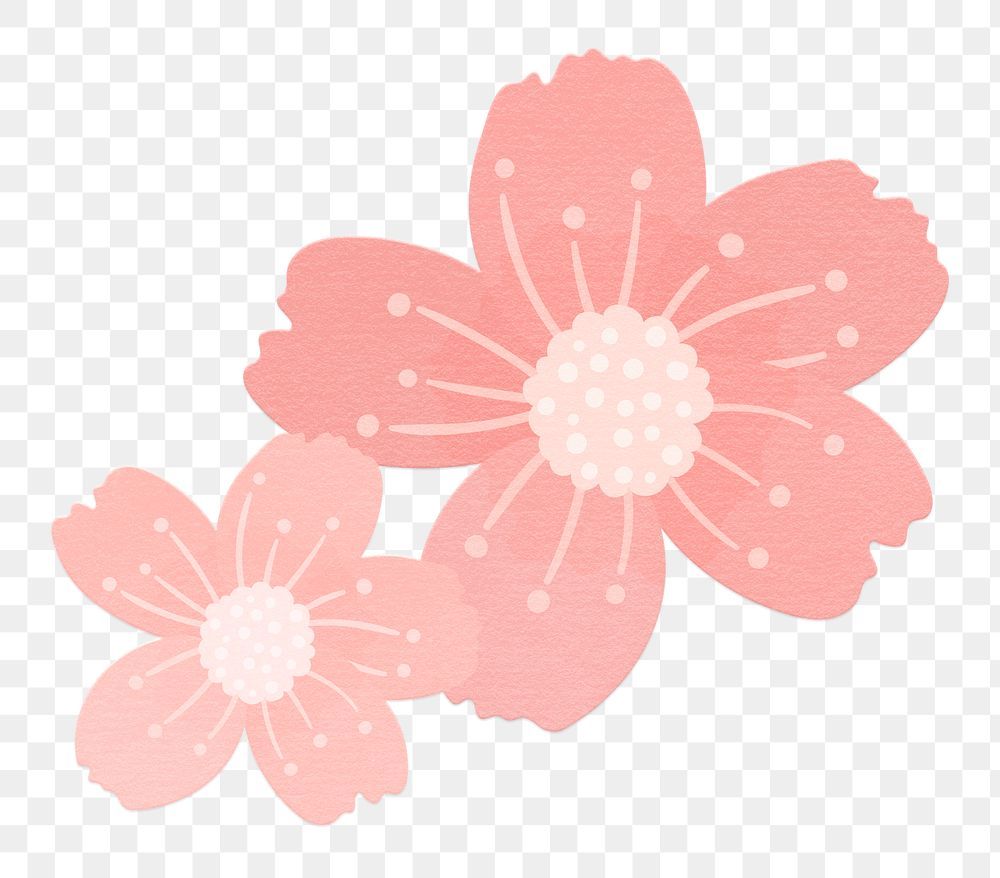 cherry blossom sticker png