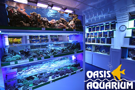 oasis aquatics salford