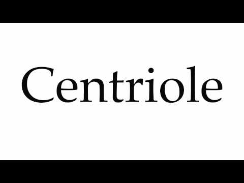 centrioles pronunciation