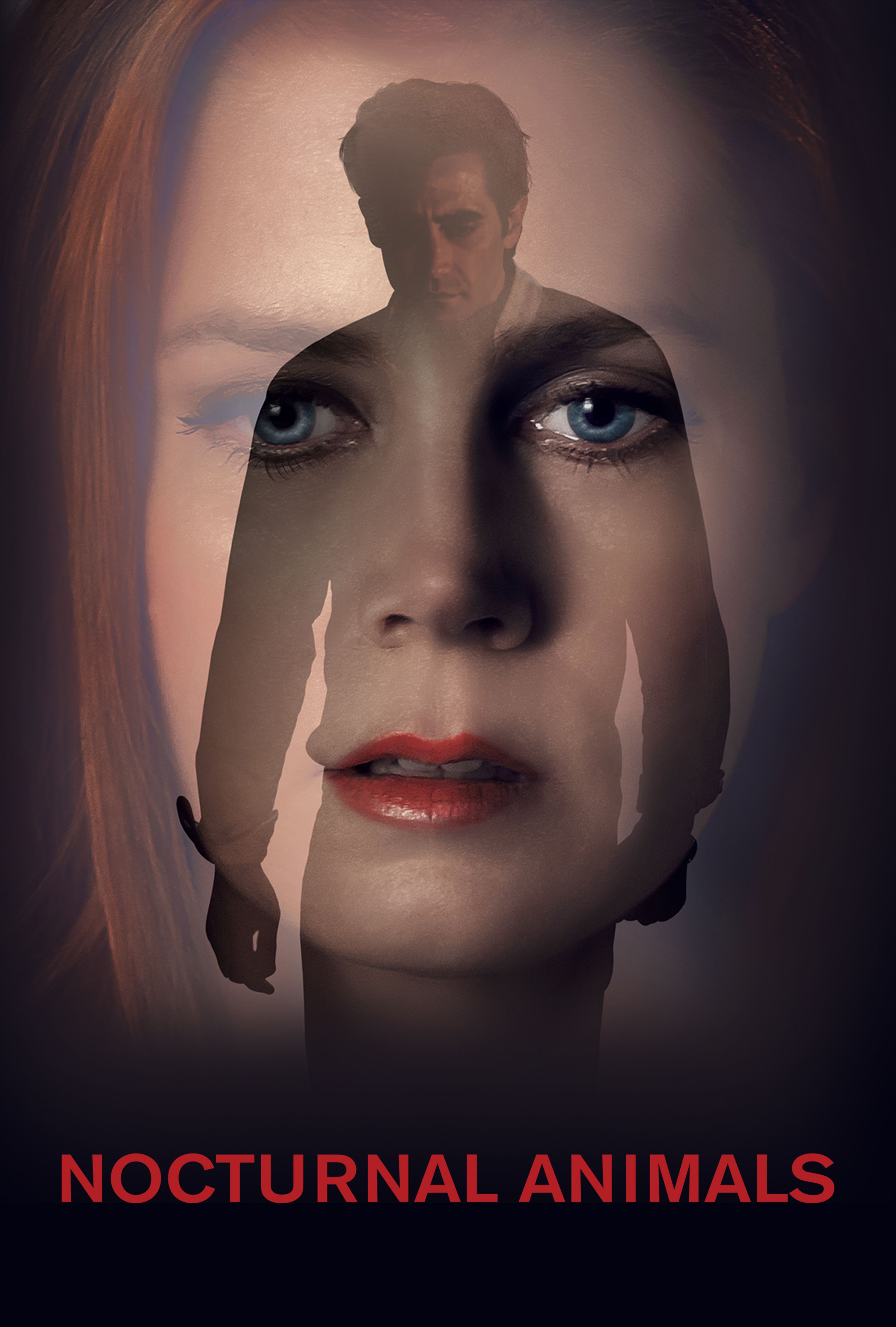 movie nocturnal animals explained