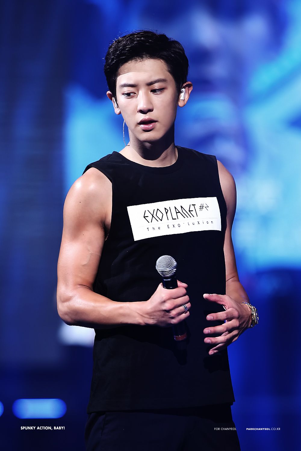 chanyeol arms