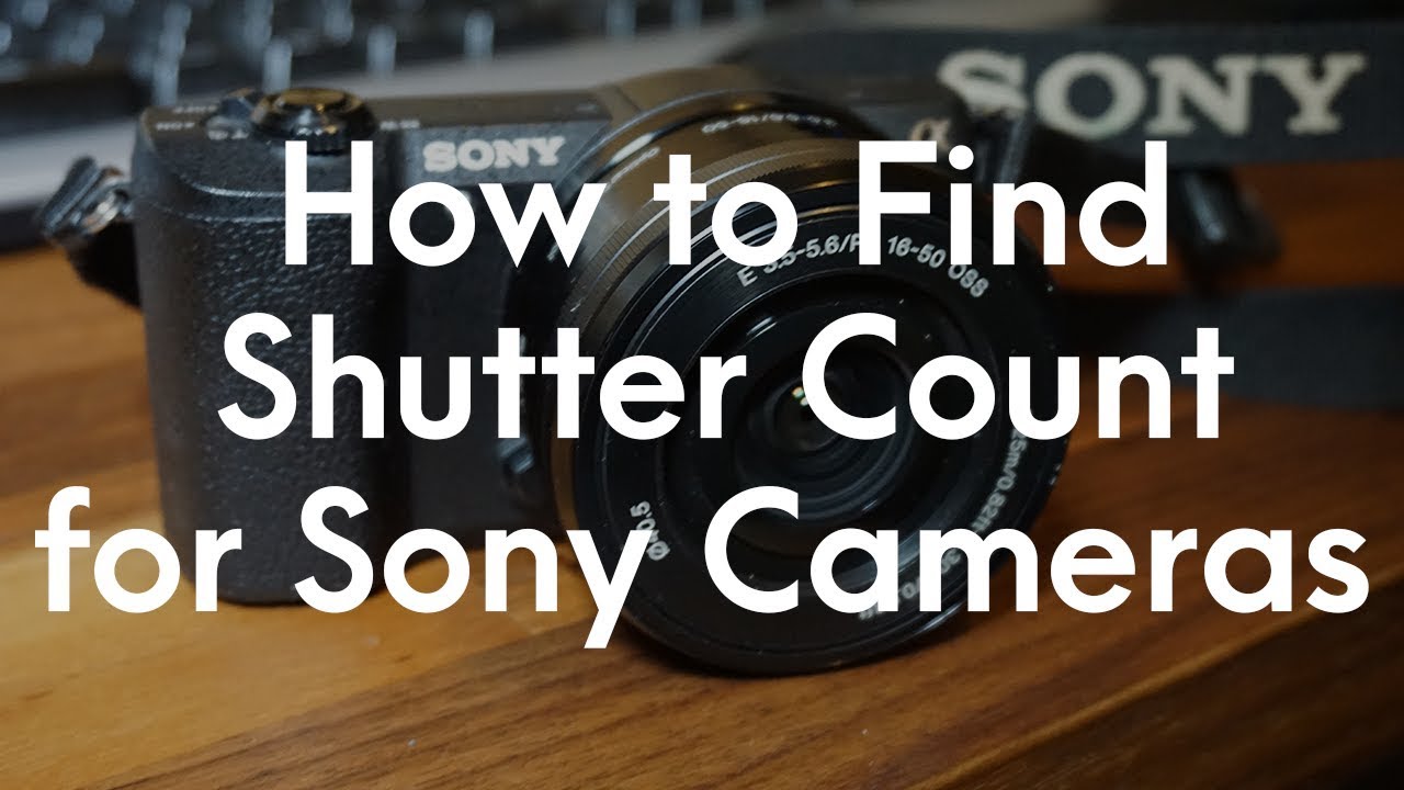 check shutter count sony a6000