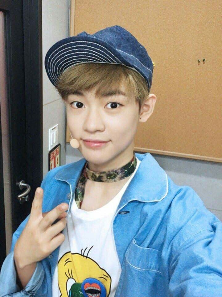 chenle sm rookies