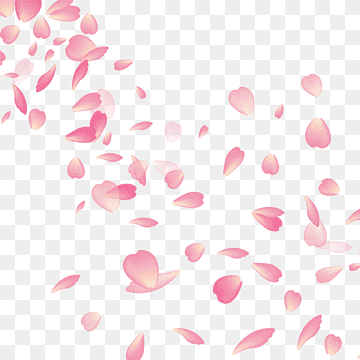 cherry blossom leaves png