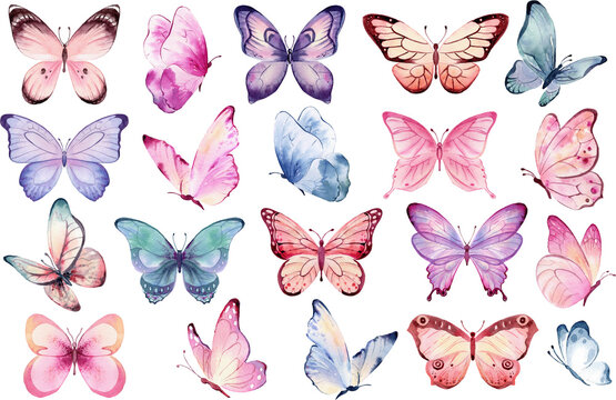 clip art butterflies