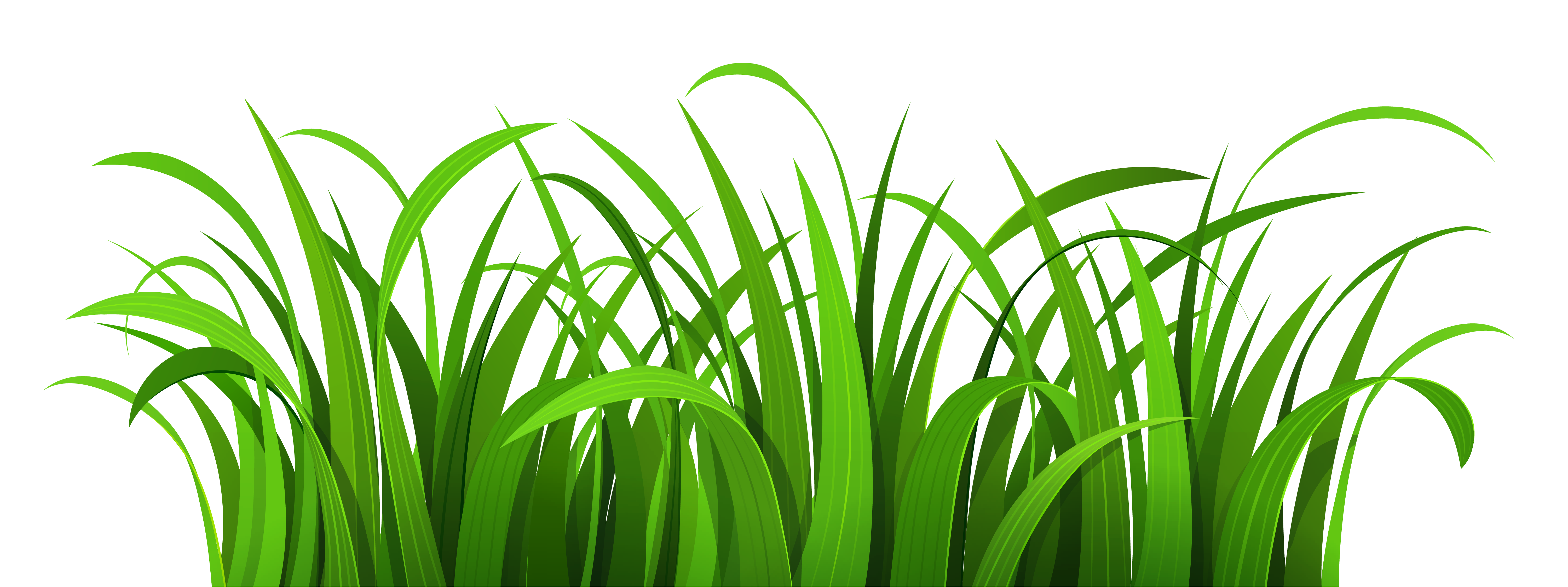 clip art for grass