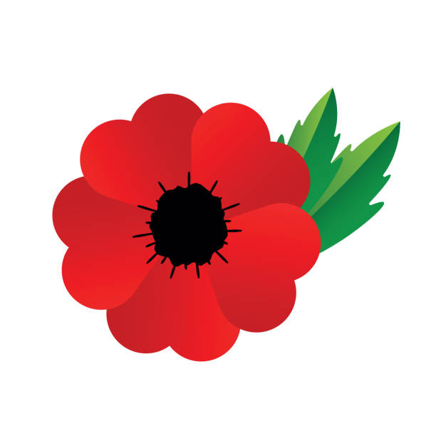 clipart remembrance day poppy