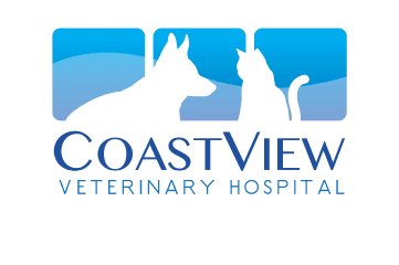 coastview veterinary hospital