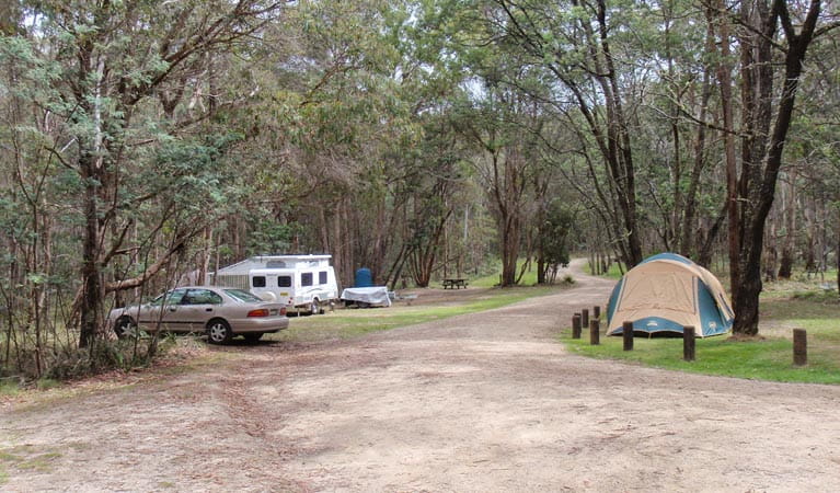 cod hole campground