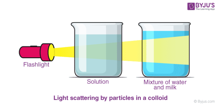 colloid meaning in malayalam