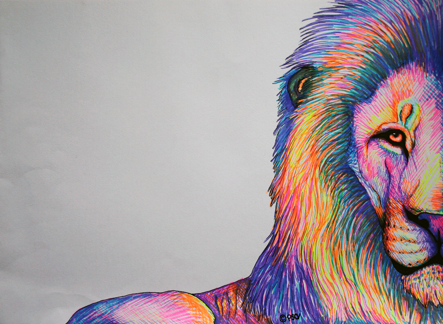 colorful drawings of animals