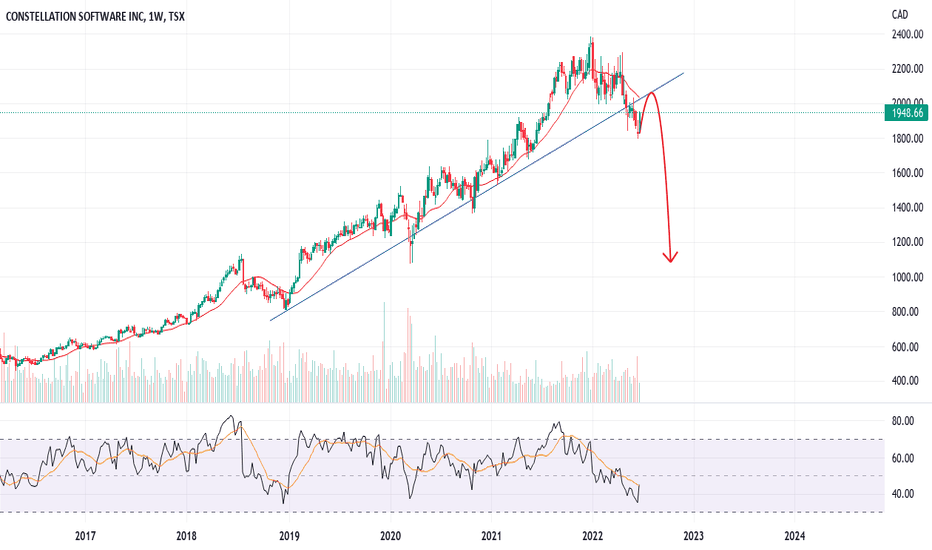 constellation software stock