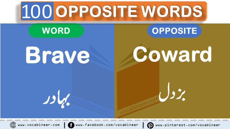 coward meaning in urdu