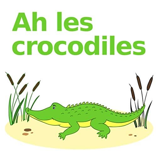 crocodile chanson