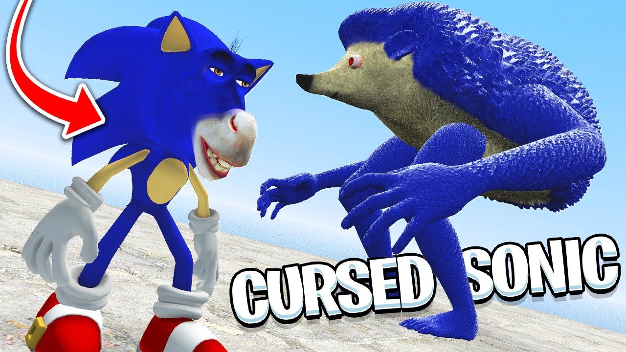 cursed sonic