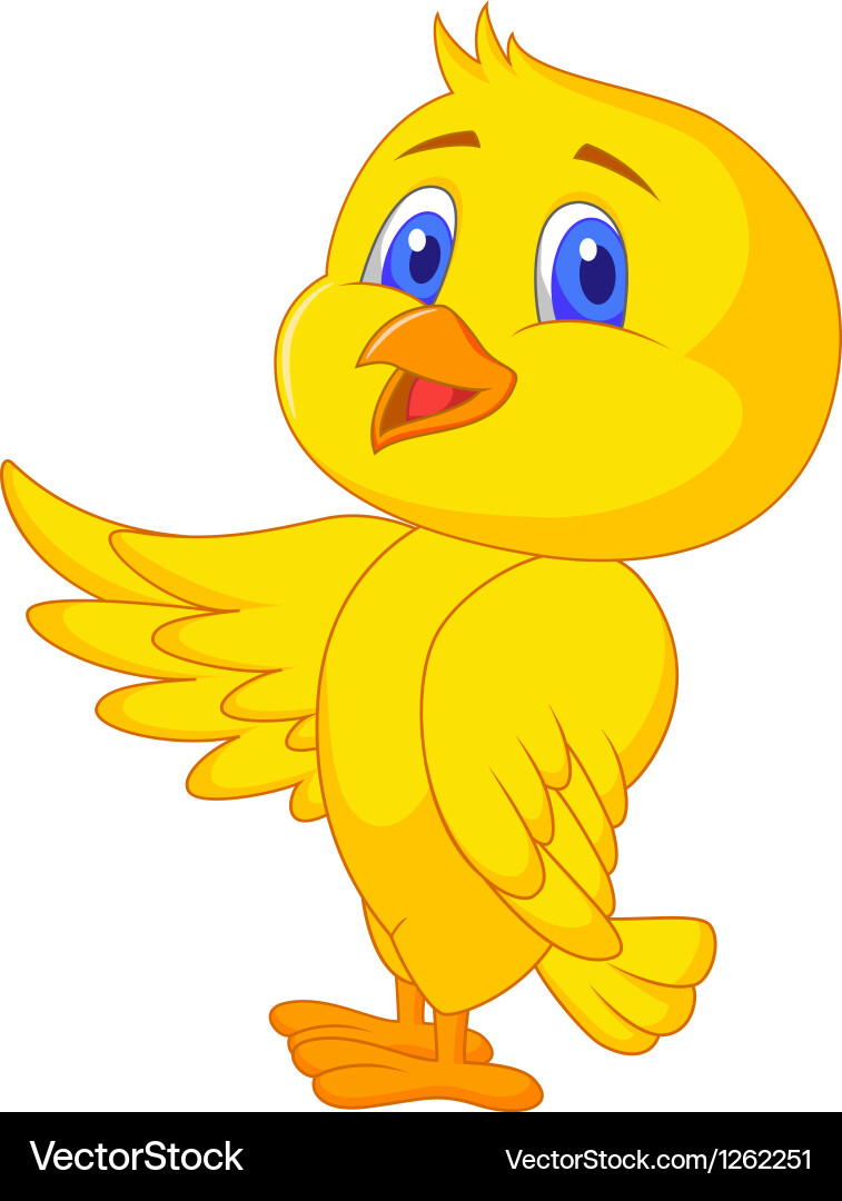 cute bird cartoon images