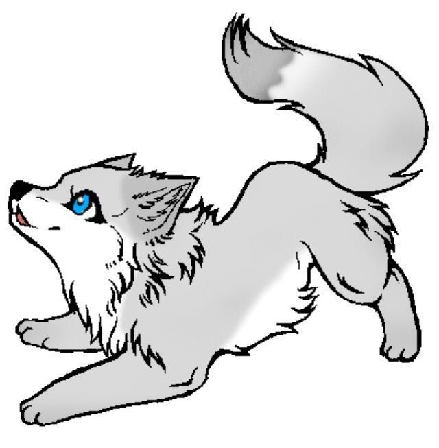 cute drawings of wolves