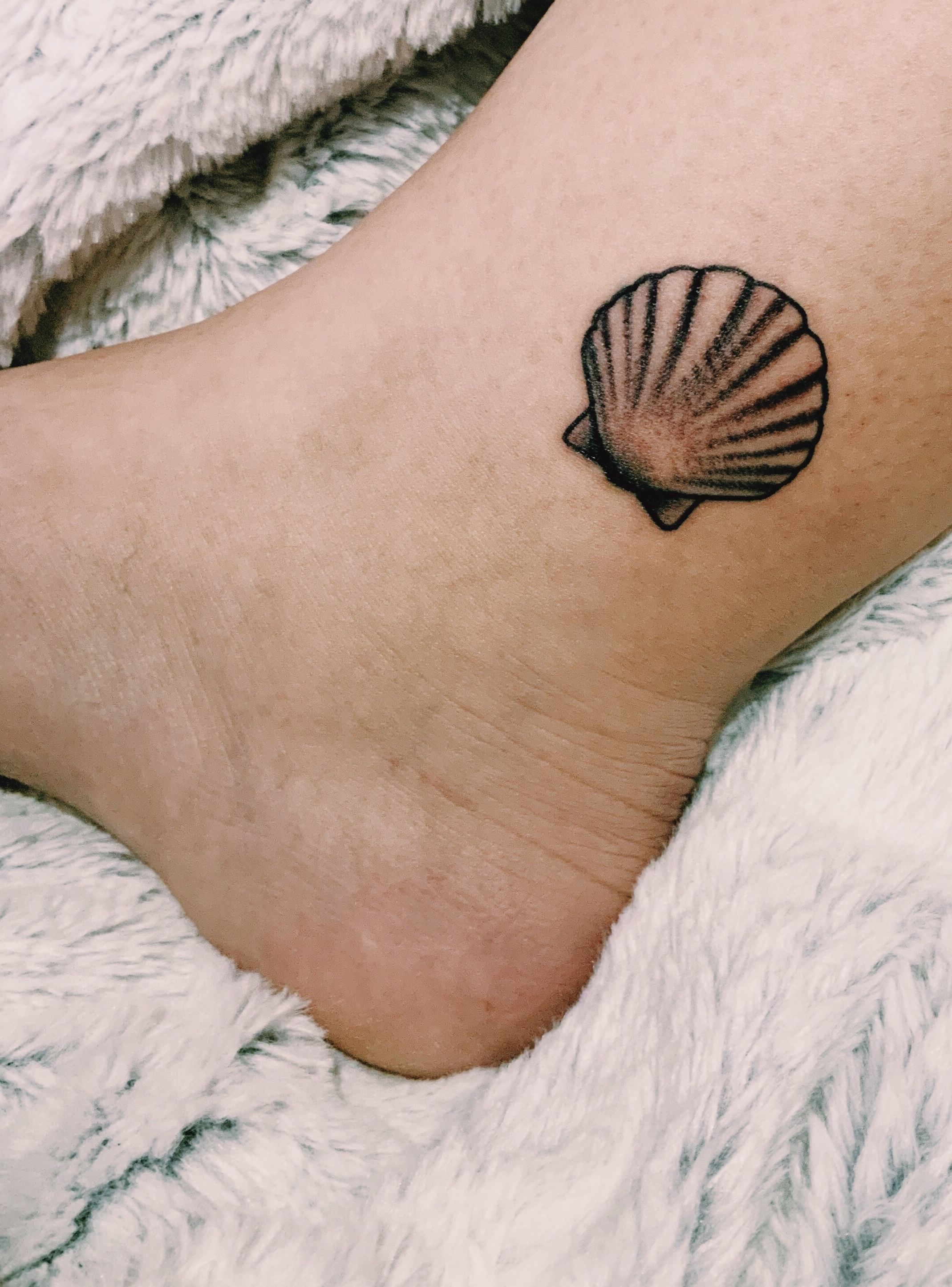 shell seashell tattoos