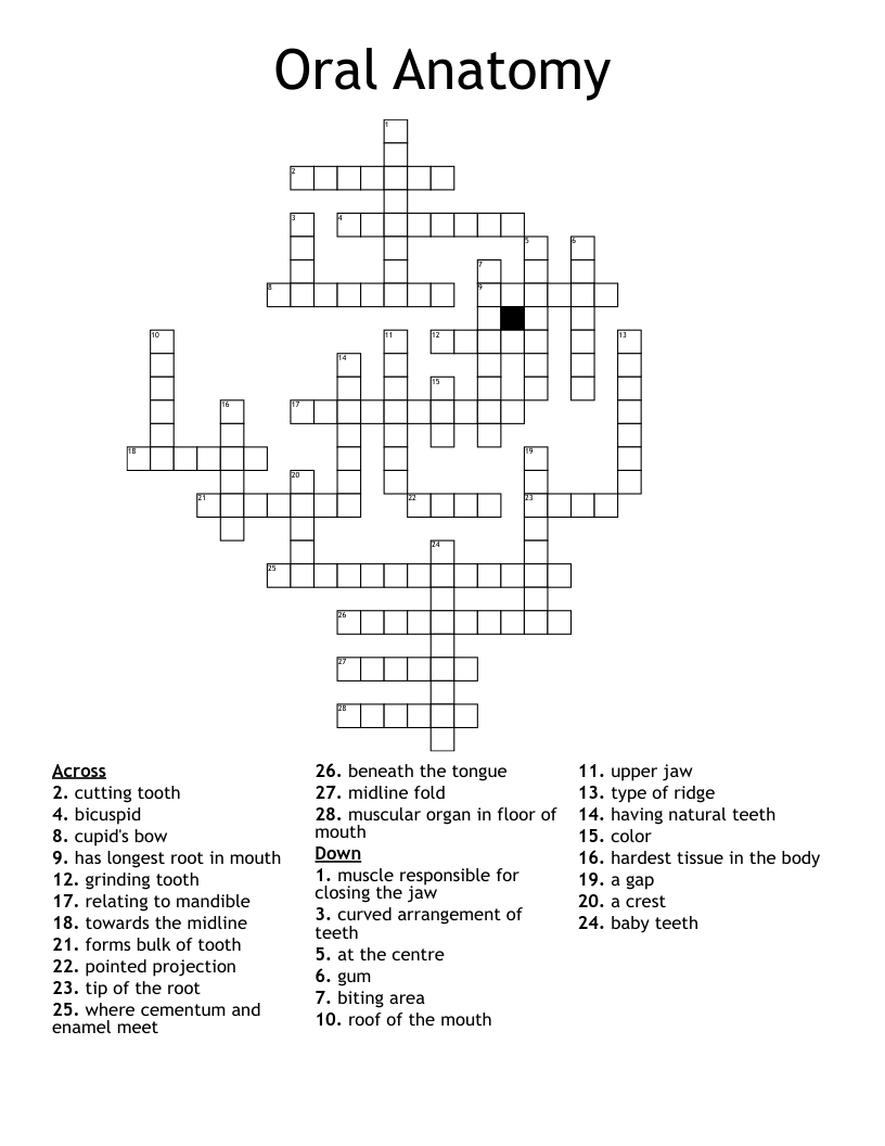 pointed tooth crossword clue