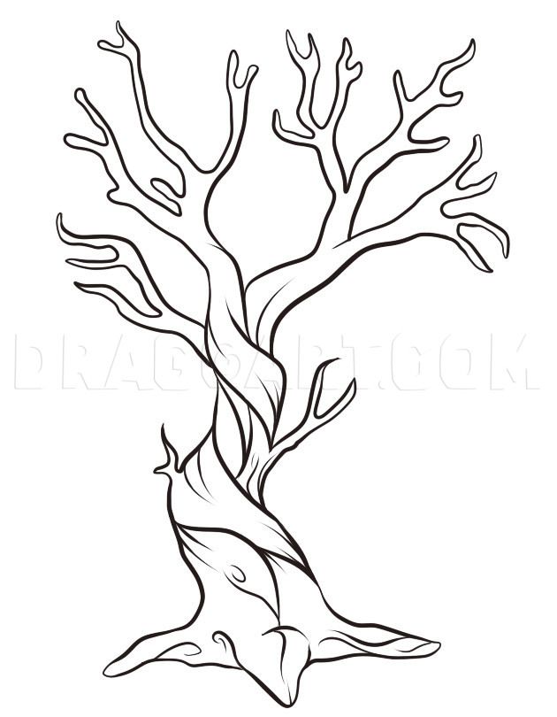 dry tree drawing