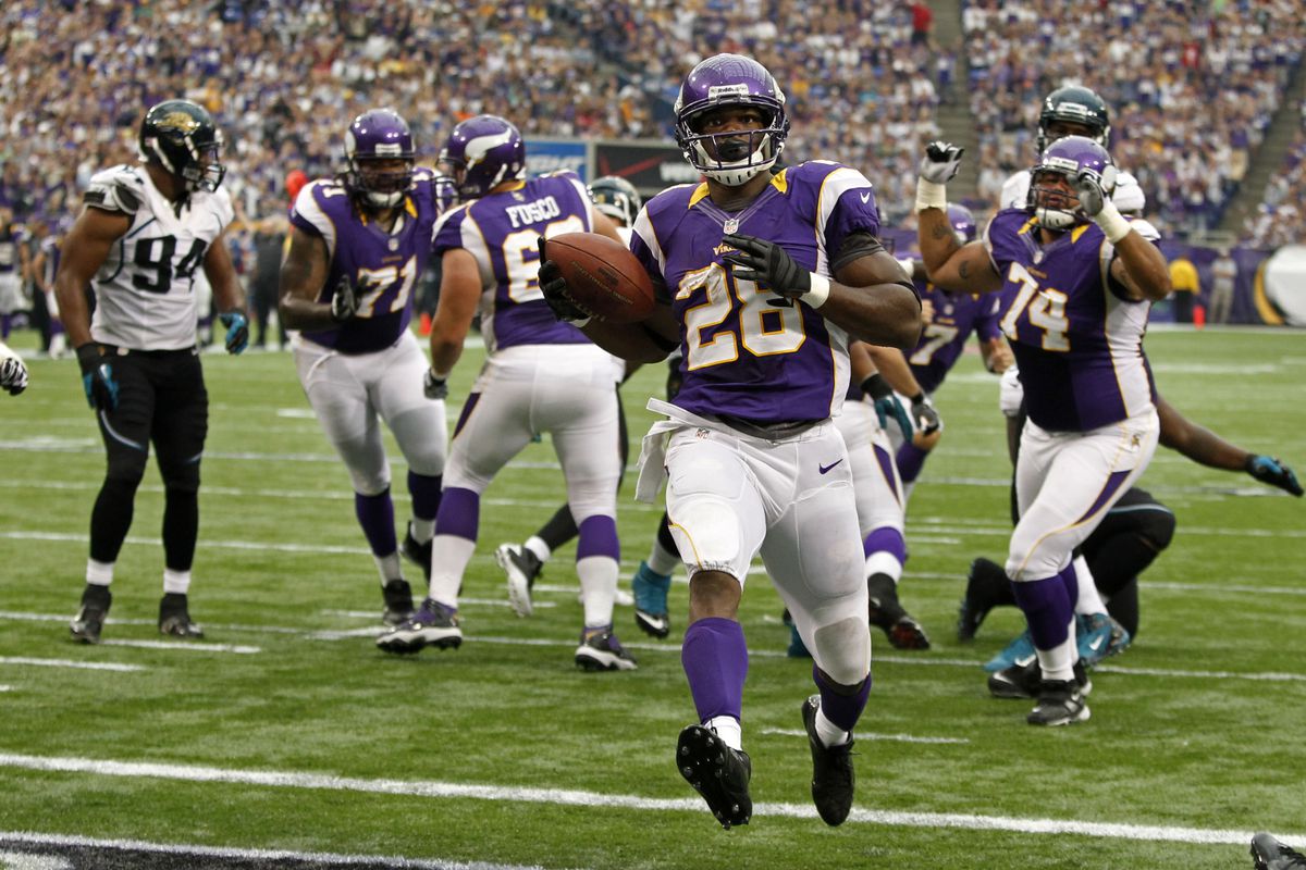 2012 minnesota vikings