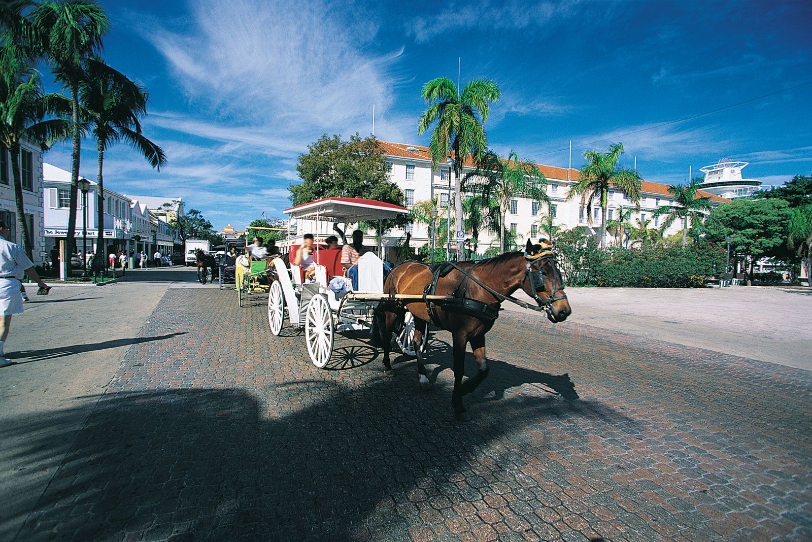 nassau new providence island bahamas