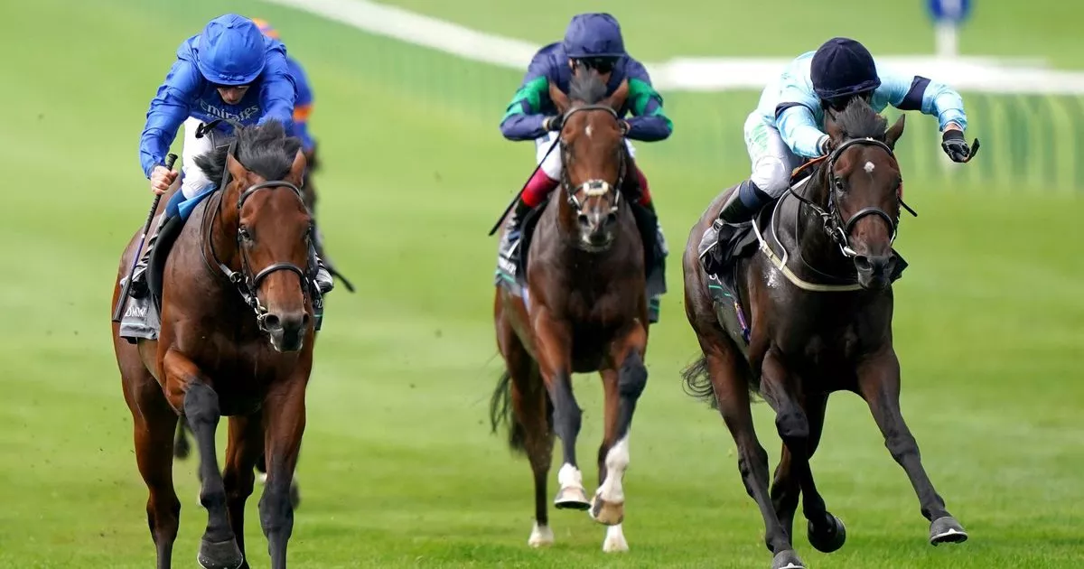 english and irish horse racing results