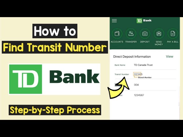 how do i find my td branch number