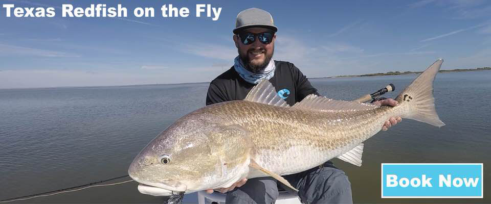 texas saltwater fishing report