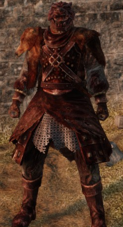 dark souls 2 vengarl body