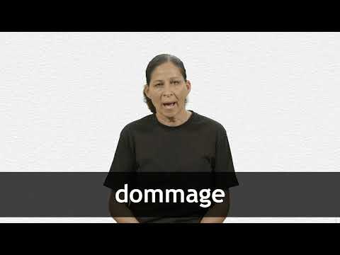 dommage in english