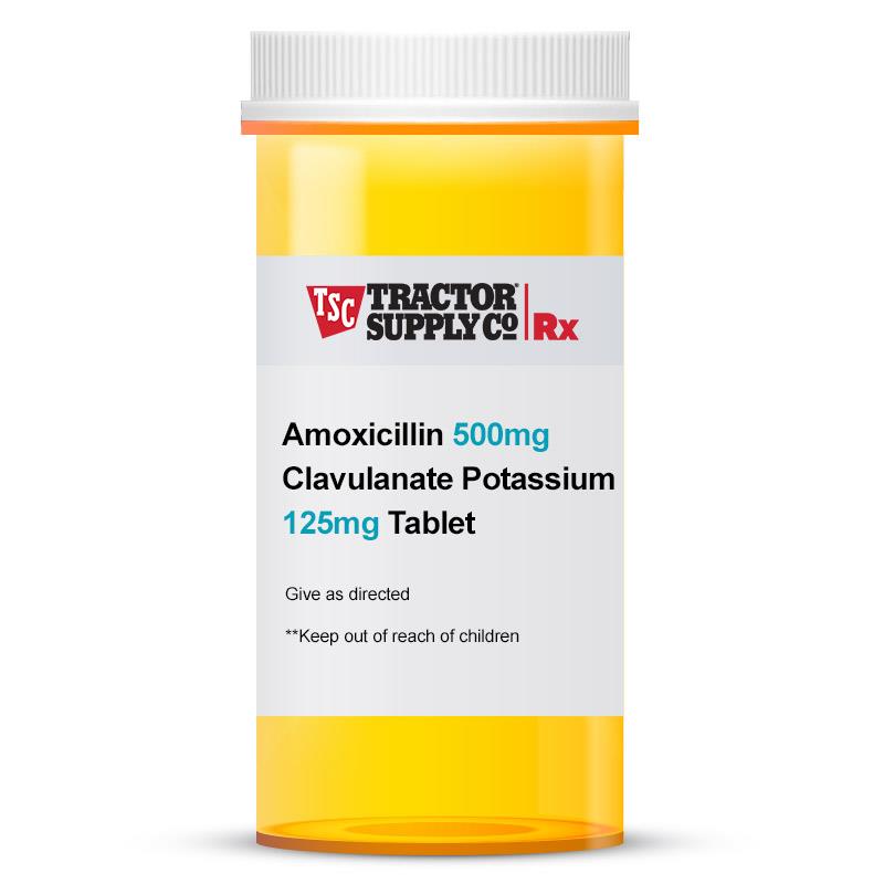 fish amoxicillin tractor supply