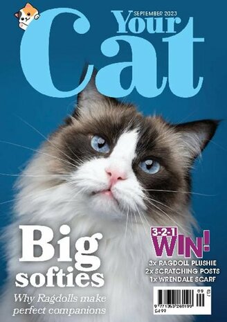 dcat magazine