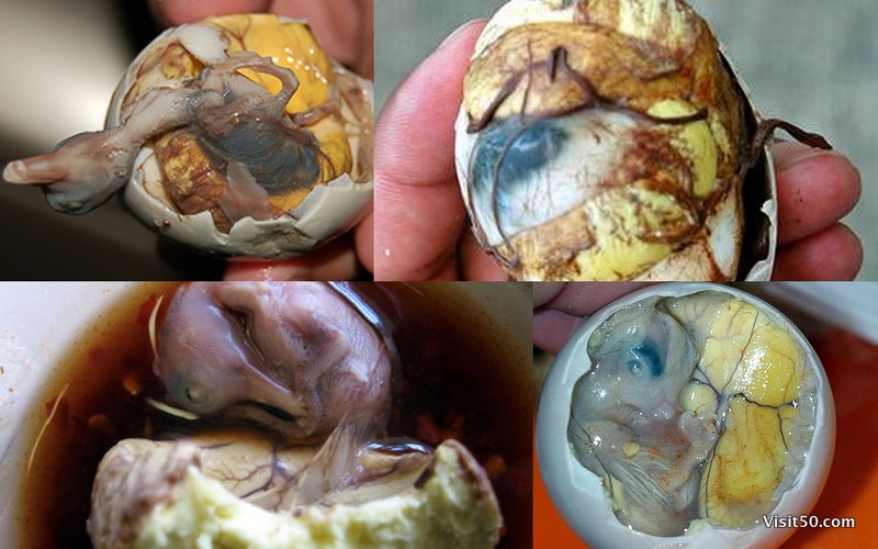 definition of balut