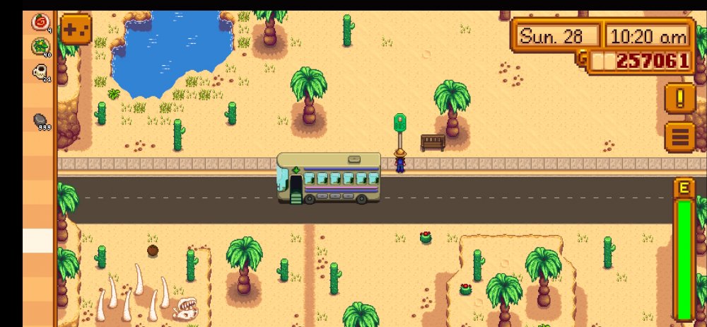 desert trader stardew