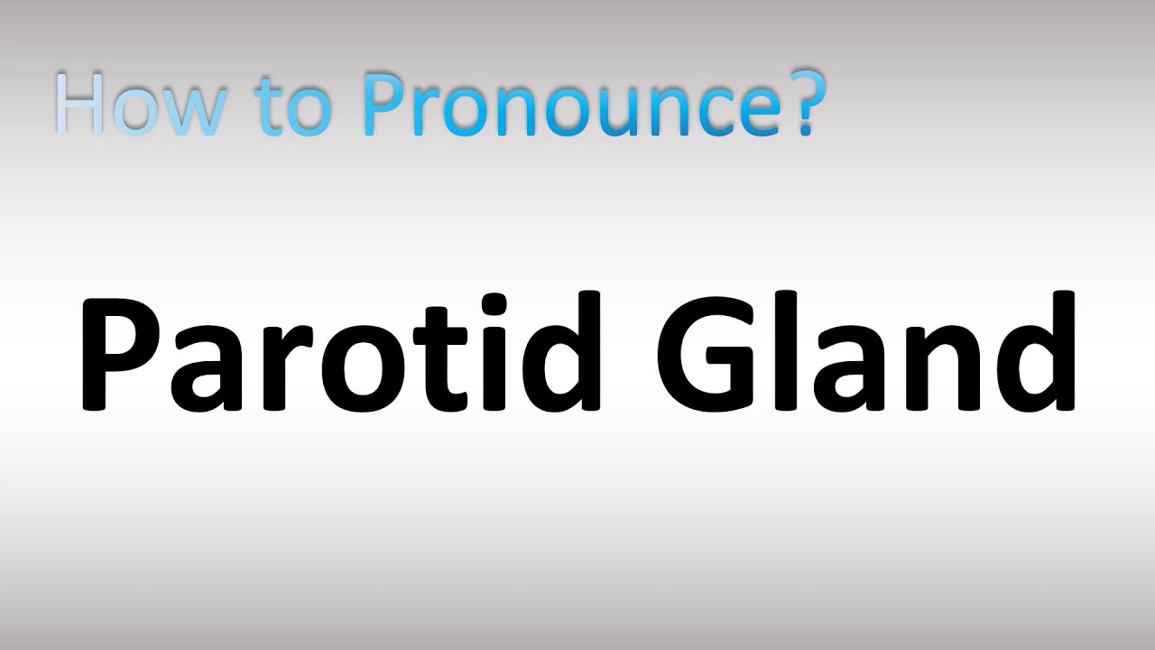 parotid pronunciation