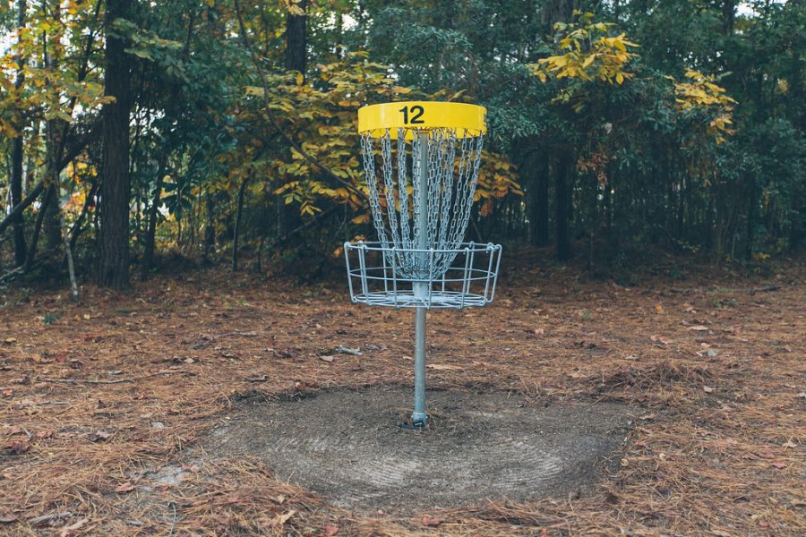 disc golf scene