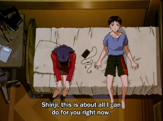 does misato like shinji