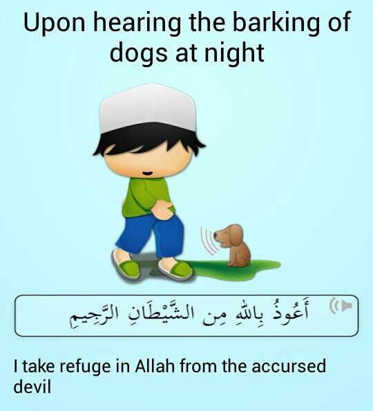 dog crying at night meaning in islam